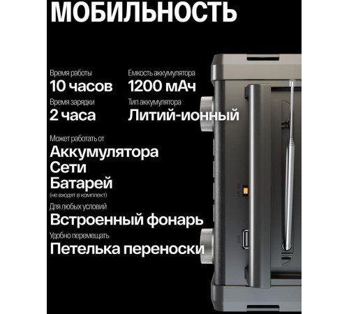 SOUNDMAX SM-RD2120UB черный