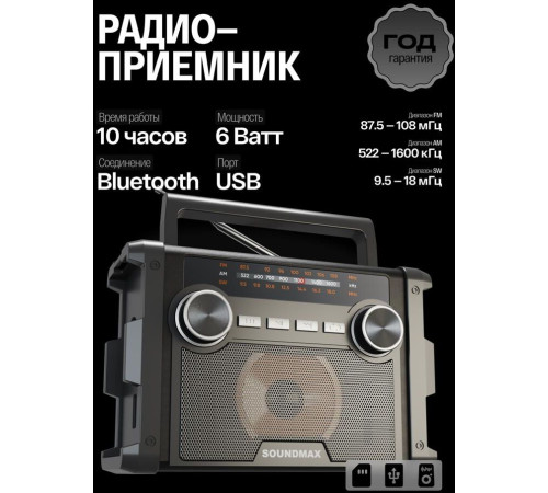 SOUNDMAX SM-RD2120UB черный