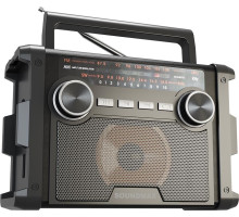 SOUNDMAX SM-RD2120UB черный