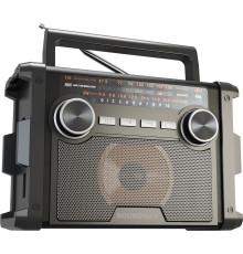 SOUNDMAX SM-RD2120UB черный