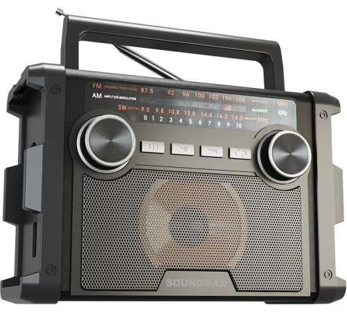 SOUNDMAX SM-RD2120UB черный