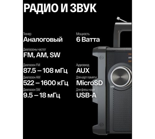 SOUNDMAX SM-RD2120UB черный