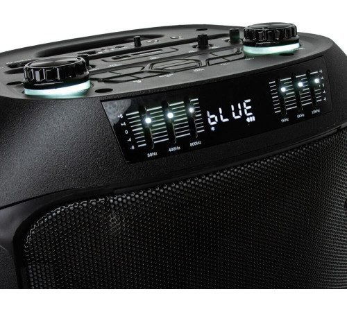 ELTRONIC (30-38) CRAZY BOX - колонка 08