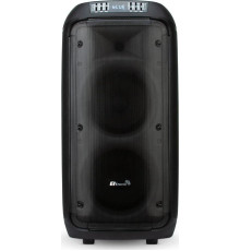 ELTRONIC (30-38) CRAZY BOX - колонка 08