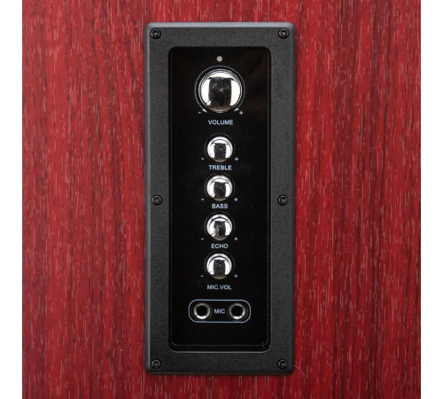 ELTRONIC (30-32) HOME SOUND - колонка 10 красный