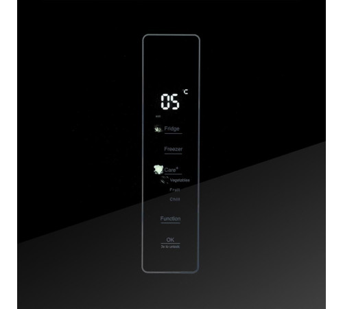 CENTEK CT-1745 Black