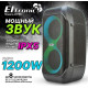 ELTRONIC (20-98) CRAZY BOX 1200 - колонка 06