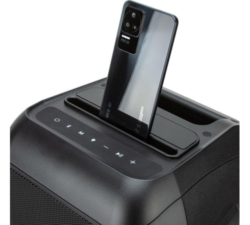 ELTRONIC (20-98) CRAZY BOX 1200 - колонка 06