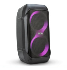 ELTRONIC (20-98) CRAZY BOX 1200 - колонка 06