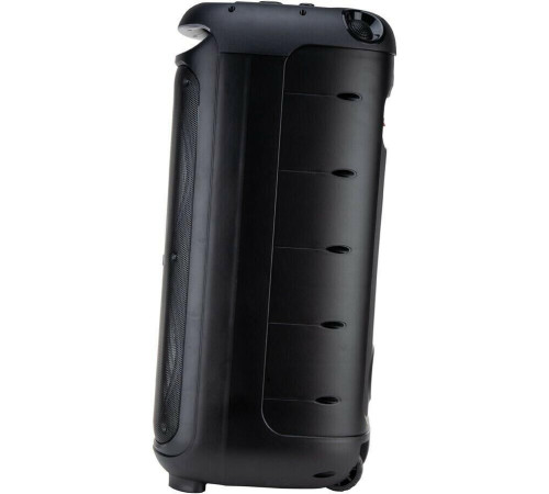 ELTRONIC (30-29) DANCE BOX 1000 - колонка 08