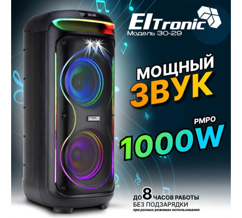 ELTRONIC (30-29) DANCE BOX 1000 - колонка 08