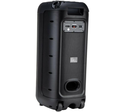 ELTRONIC (30-30) DANCE BOX 1200 - колонка 10