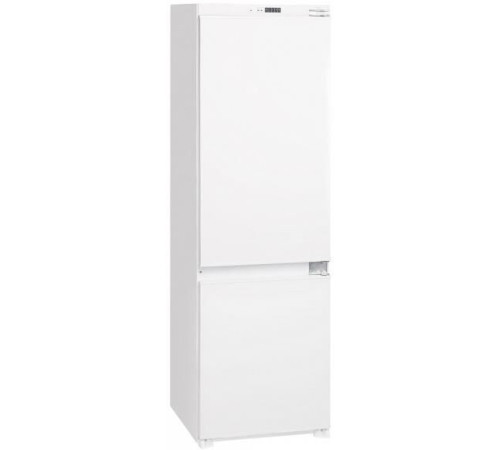 ZIGMUND & SHTAIN BR081781SX