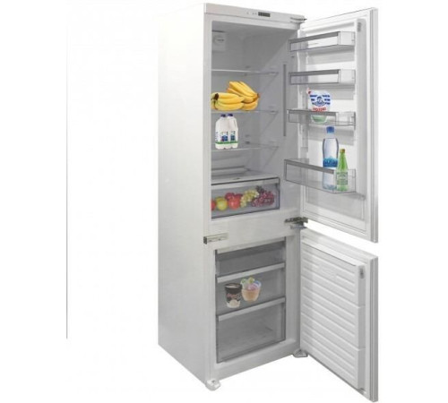 ZIGMUND & SHTAIN BR081781SX