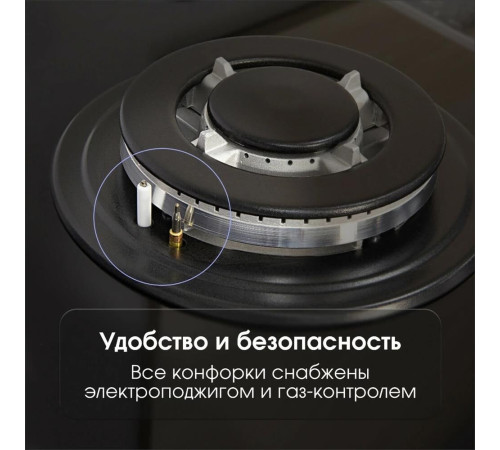 ZIGMUND & SHTAIN MN19561B