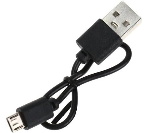 ERGOLUX (15357) ELX-BTHP01-C06 синий