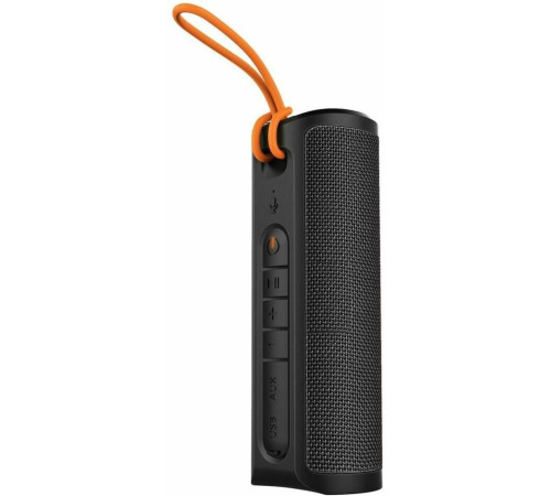 XIAOMI Sound S29D Outdoor 30W MDZ-38-DB (черная) QBH4261GL