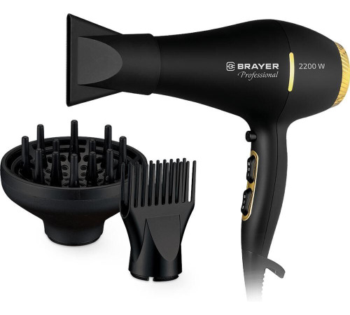 BRAYER BR3010