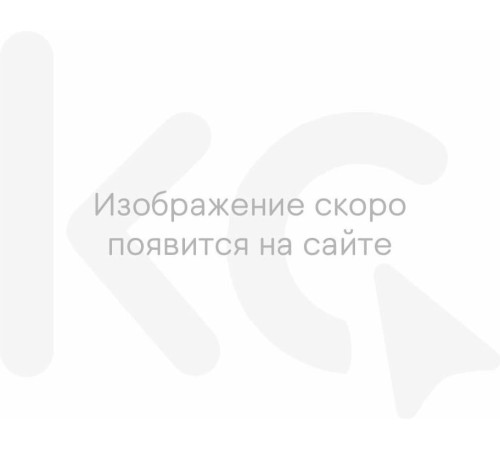 TECO TС-P8060 0,6л черный