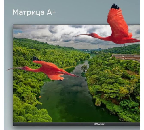 Телевизор MEGAMAX 43MG11FSM FHD SMART TV Android Безрамочный