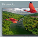 Телевизор MEGAMAX 43MG11FSM FHD SMART TV Android Безрамочный