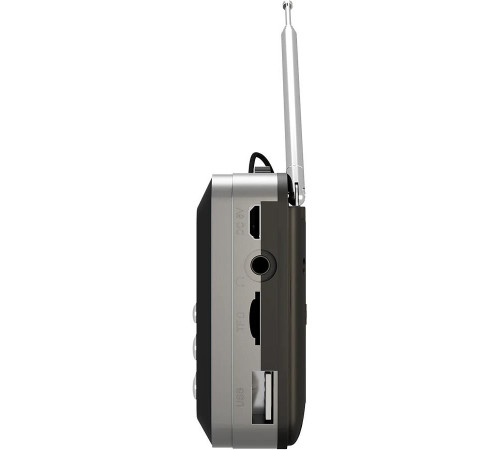 SOUNDMAX SM-RD2116 чёрный