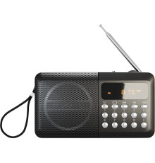 SOUNDMAX SM-RD2116 чёрный