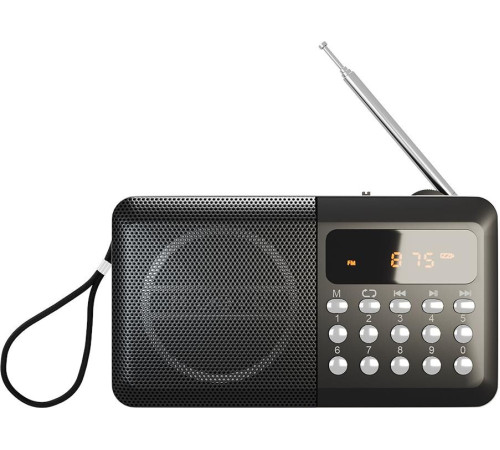 SOUNDMAX SM-RD2116 чёрный