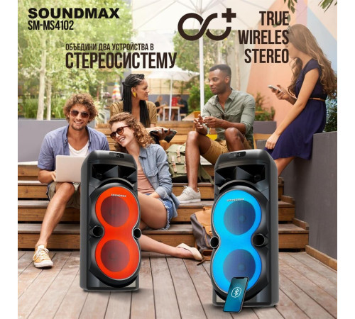 SOUNDMAX SM-MS4102 черный