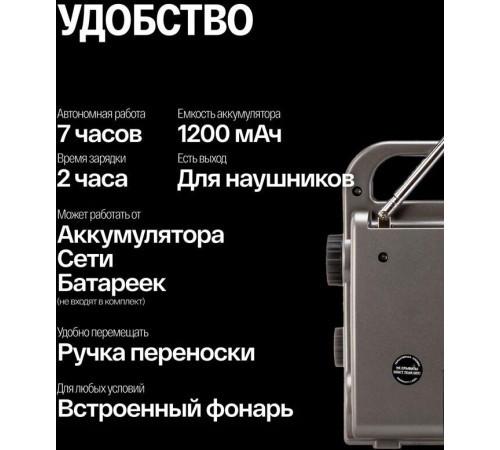 SOUNDMAX SM-RD2110 темно-серый