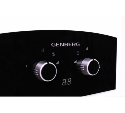 GENBERG 310.01 ПРЕМИУМ 10 л. (ЧЕРНАЯ НАКЛАДКА)