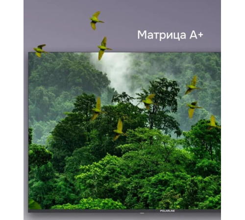 Телевизор POLARLINE 55PQ71STC-SM UHD SMART TV Android безрамочный