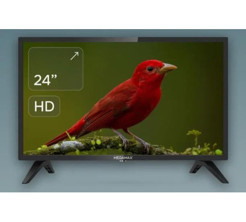 MEGAMAX 24MG11H HD