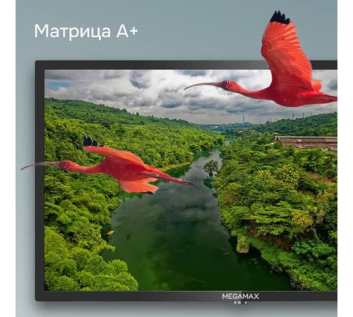 MEGAMAX 24MG11HSM HD SMART TV Android