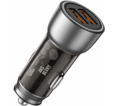 AKSBERRY (6900293350018) X100 2USB 3.1A, черный