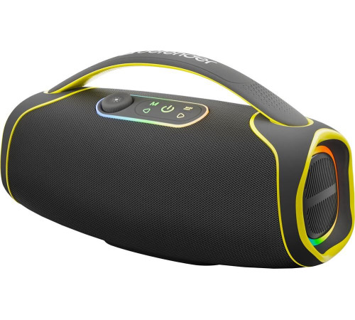 DEFENDER (65113) Beatbox 100 100Вт,