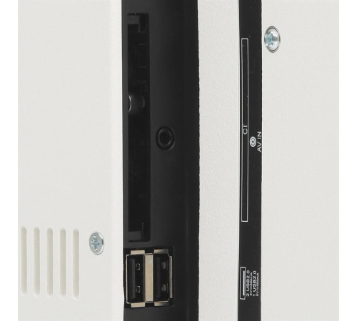 LEFF 24F691T FHD SMART TV Салют белый