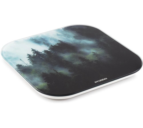 HYUNDAI H-BS03761 макс.180кг т.зеленый