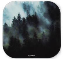 HYUNDAI H-BS03761 макс.180кг т.зеленый