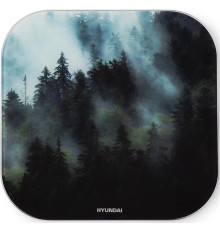 HYUNDAI H-BS03761 макс.180кг т.зеленый