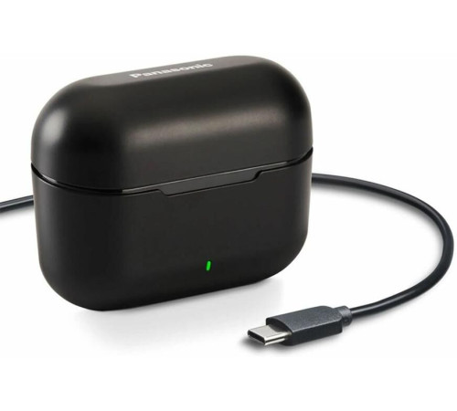 PANASONIC RZ-B110WDG-K Black