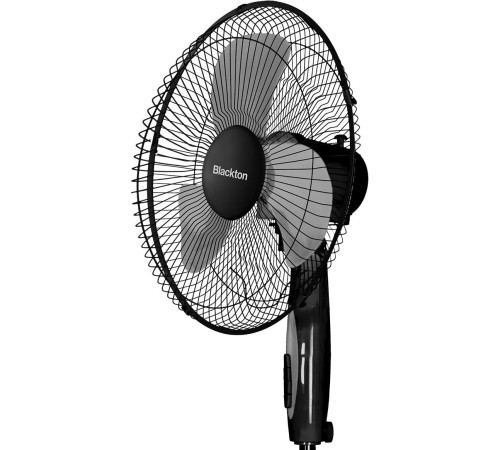 BLACKTON Bt F1120 Black