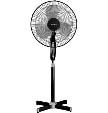 BLACKTON Bt F1120 Black