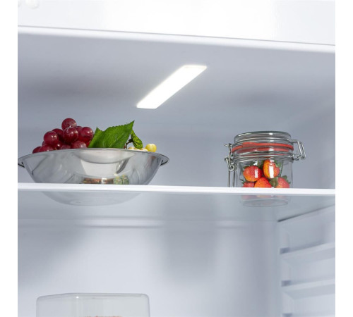 БИРЮСА 553 230л белый