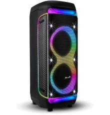 ELTRONIC (30-30) DANCE BOX 1300 - колонка 10