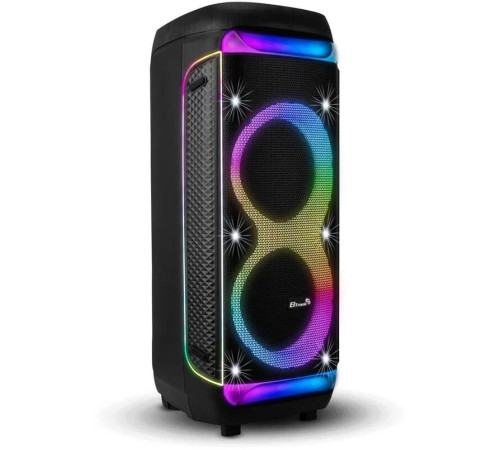 ELTRONIC (30-30) DANCE BOX 1300 - колонка 10