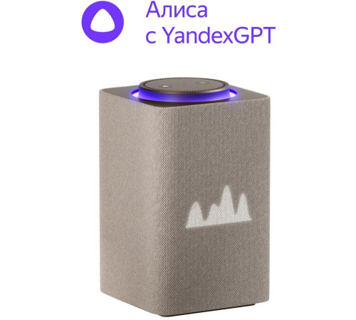 ЯНДЕКС YNDX-00053E Станция Макс с Zigbee бежевый