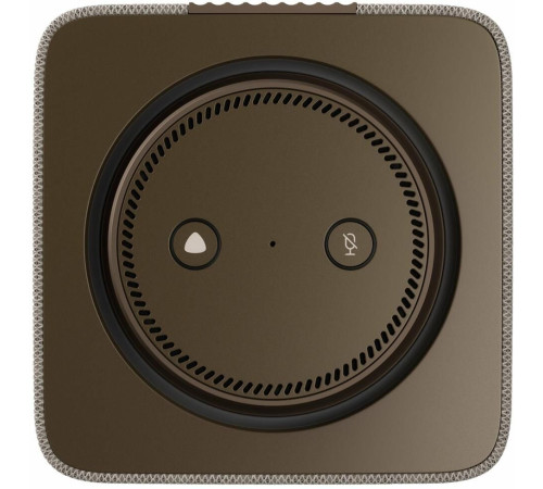 ЯНДЕКС YNDX-00053E Станция Макс с Zigbee бежевый