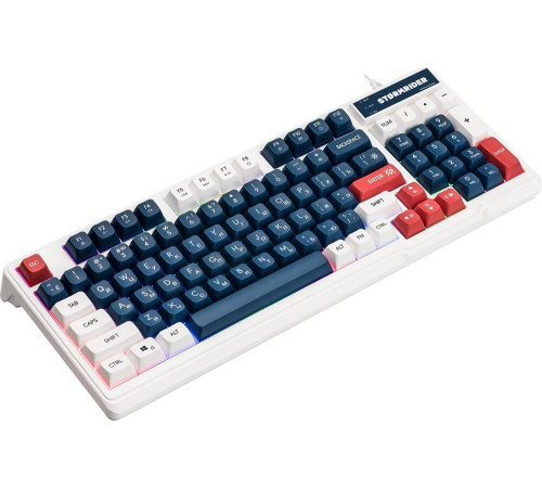 DEFENDER (45425) Stormrider GK-425 RU,бел/син,94кн+FN,радуж,1.75м