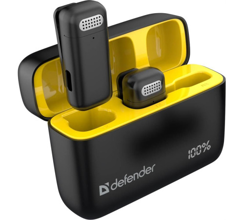 DEFENDER (64139) Talky-139 wrls, черный, кейс, 2шт